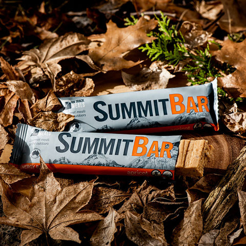 10 Pack Apricot Summit Bars