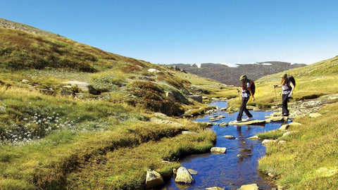 The Australian Alps Track